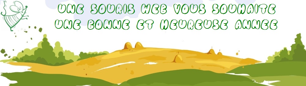 PALLATIN Jean-Michel Bonne Année 2025